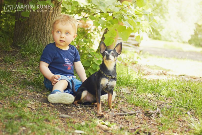 Rodina, Řípovi, přirozené fotky v lese