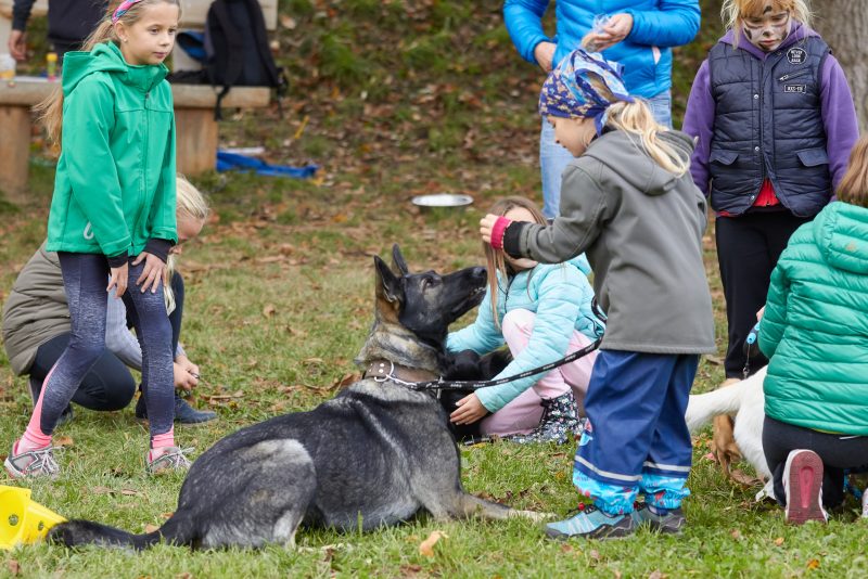 Drakiáda s příběhem, Štěchovice 2017