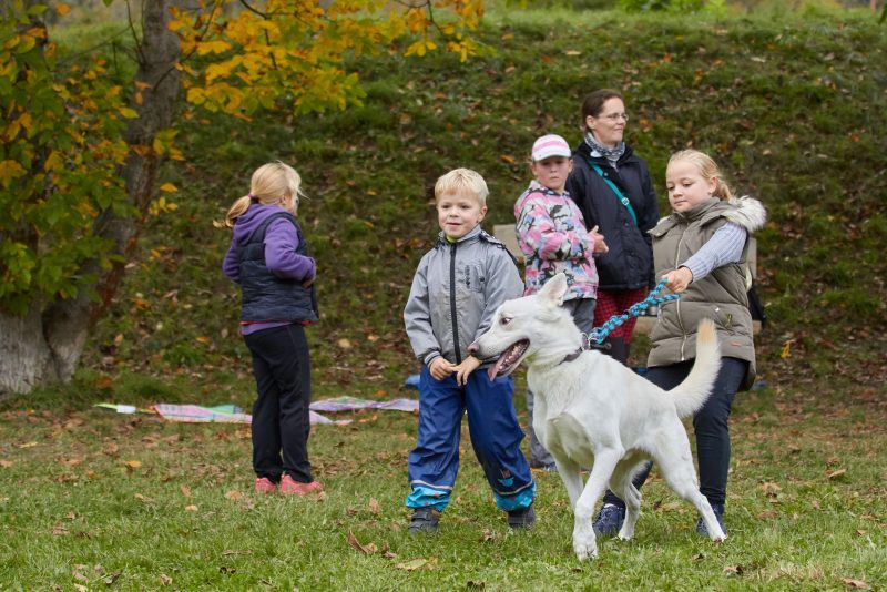 Drakiáda s příběhem, Štěchovice 2017